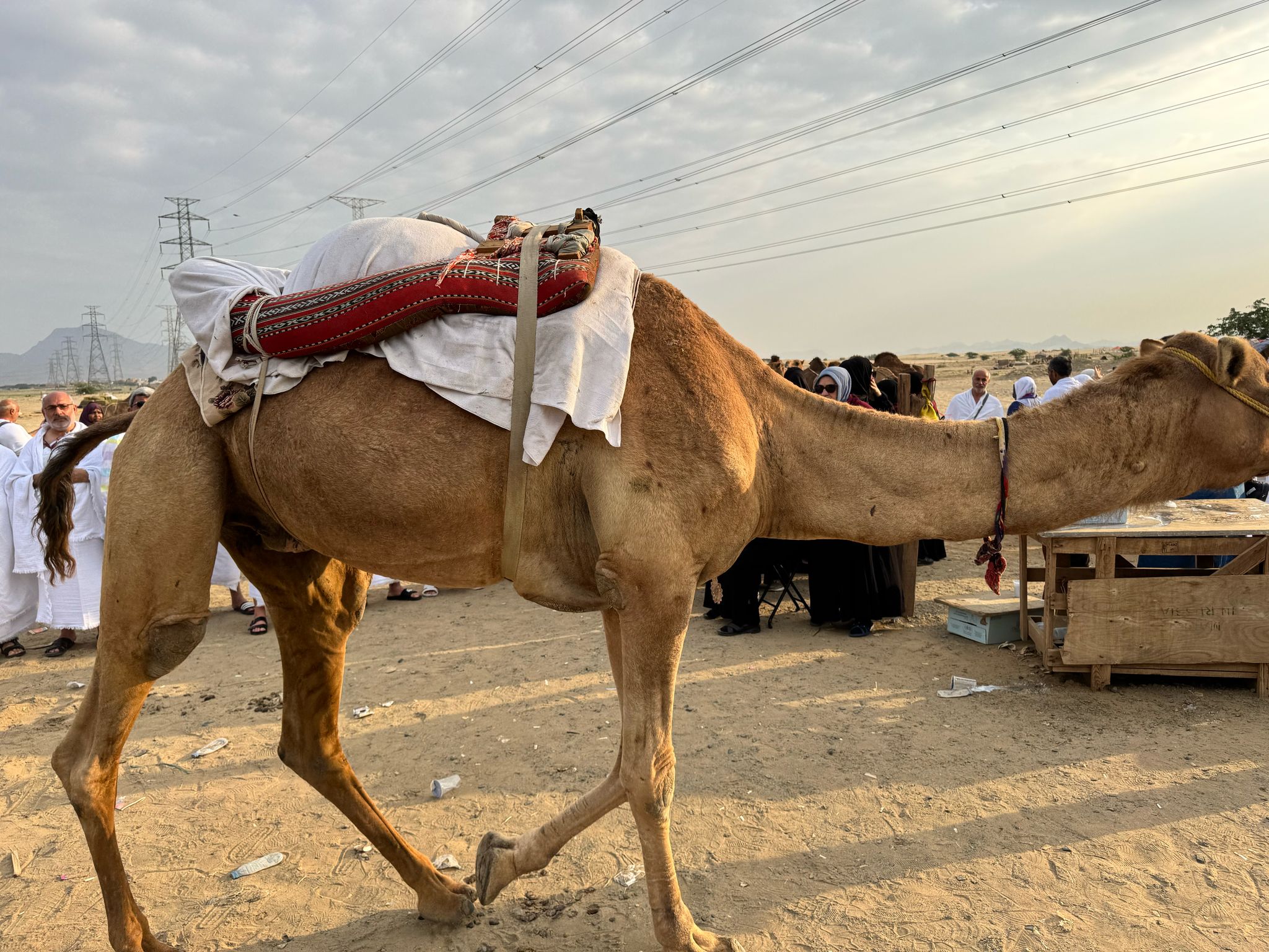 Şubat Ayı Umre Turlarından Kareler